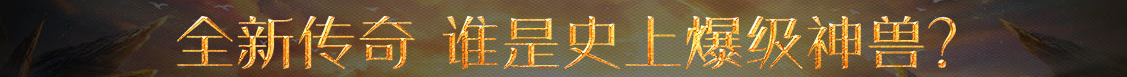 交易网财富决策